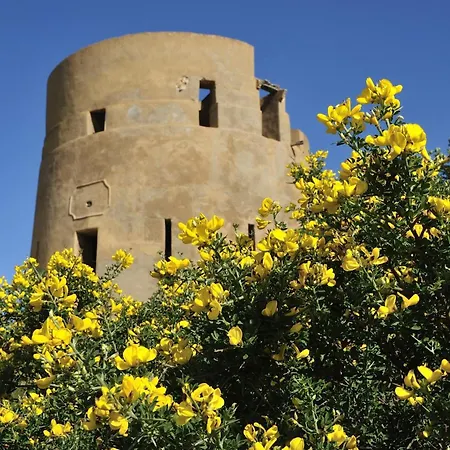 Casa A 500metri Dal Mare Con Bellissima Vista * Tertenia